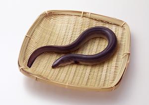 表参道で味わう絶品イタリアン：2025年最新おすすめ店ガイド