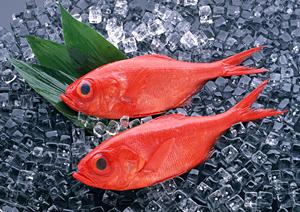 お中元ギフトに最適!絶対喜ばれるドイツソーセージの選び方とおすすめランキング【2025年最新版】