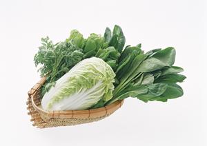 地域の愛されるお弁当屋さん「つるや」の魅力と店舗情報